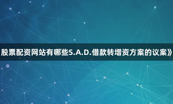 股票配资网站有哪些S.A.D.借款转增资方案的议案》