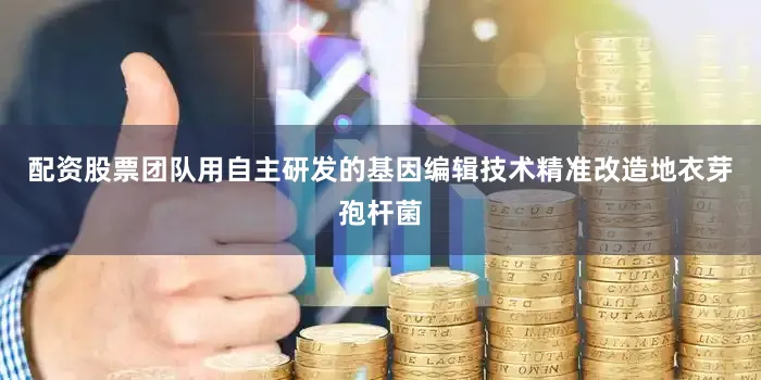 配资股票团队用自主研发的基因编辑技术精准改造地衣芽孢杆菌