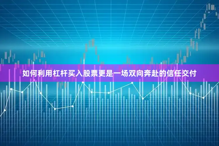 如何利用杠杆买入股票更是一场双向奔赴的信任交付