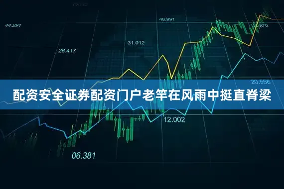 配资安全证券配资门户老竿在风雨中挺直脊梁