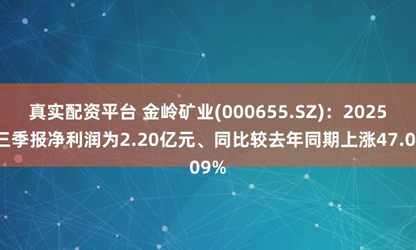 真实配资平台 金岭矿业(000655.SZ)：2025年三季报净利润为2.20亿元、同比较去年同期上涨47.09%