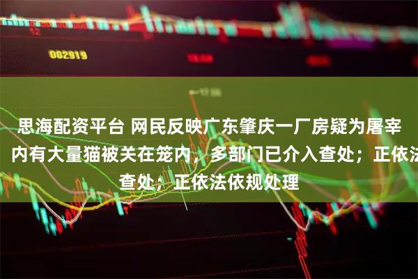思海配资平台 网民反映广东肇庆一厂房疑为屠宰猫只窝点，内有大量猫被关在笼内，多部门已介入查处；正依法依规处理