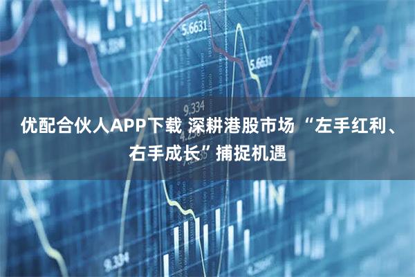 优配合伙人APP下载 深耕港股市场 “左手红利、右手成长”捕捉机遇