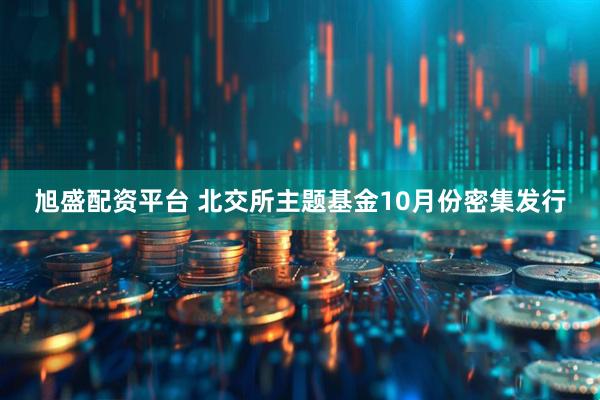 旭盛配资平台 北交所主题基金10月份密集发行